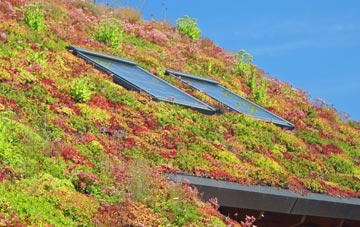Harehills living roof systems